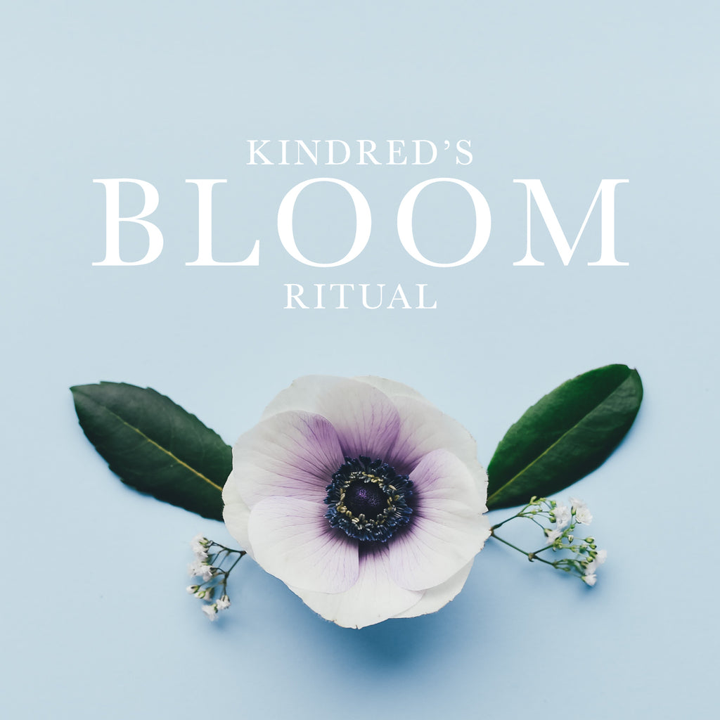 Introducing Bloom: Kindred's Spring Ritual